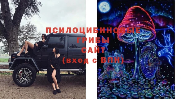 каннабис Арсеньев