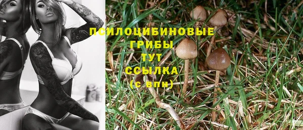 каннабис Арсеньев