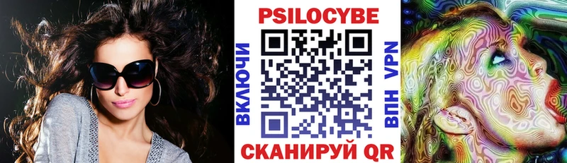 дарнет шоп  Солигалич  Галлюциногенные грибы прущие грибы 